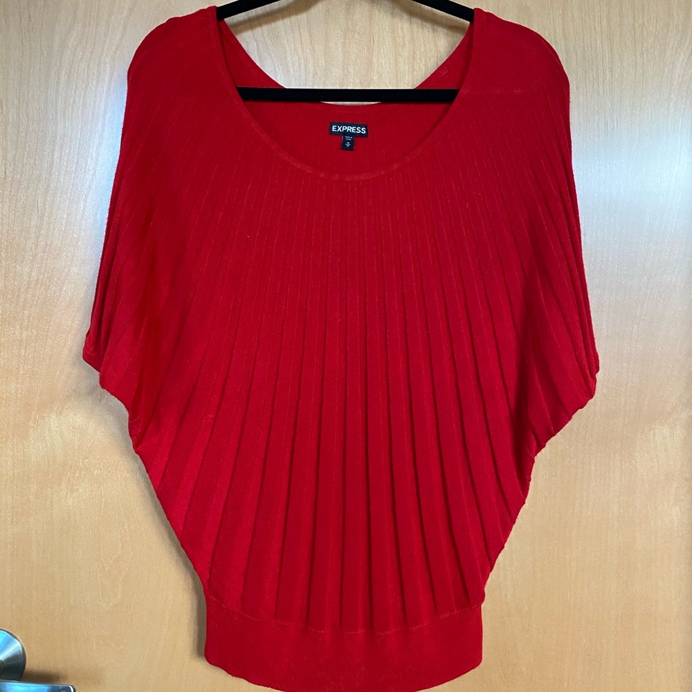 Express Sweater